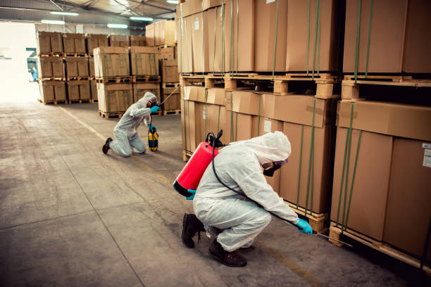 Best Pest Prevention Services  in Olivehurst, CA