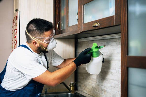 Best Residential Pest Control  in Olivehurst, CA
