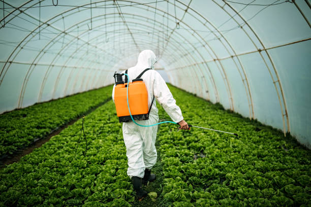 Pest Control Cost in Olivehurst, CA