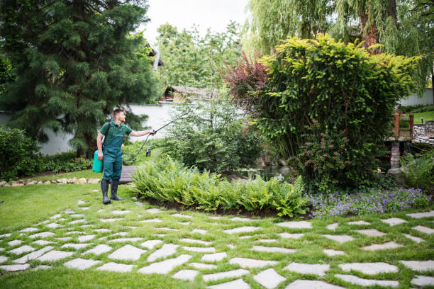 Best Insect Control  in Olivehurst, CA