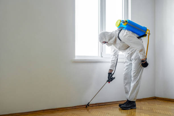 Best Affordable Pest Control Services  in Olivehurst, CA