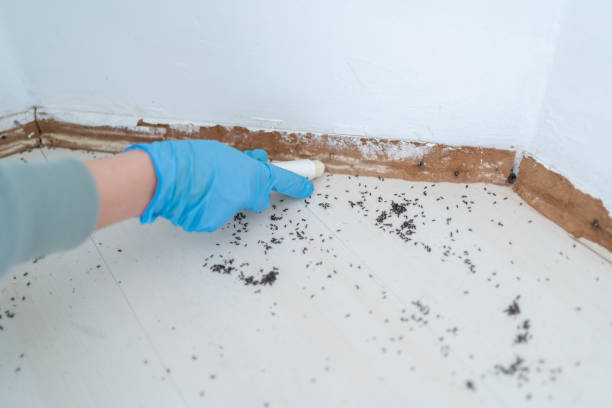 Best Wildlife Control Services  in Olivehurst, CA
