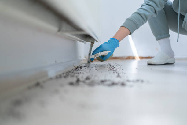 Wildlife Control Services in Olivehurst, CA
